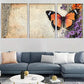 3pcs Rustic Floral Lace Vintage Butterfly Wall Art Set Canvas Framed 40x60cm - High Quality Print 100% Australian Made Wall Canvas Ready to Hang