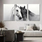 3pcs Black and White Horse Modern Classic Metal Print Ready to Hang Art