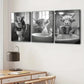 3pcs Highland Cows Bath Yaks, Gray White Buffalo Wall Art Set Canvas Framed 40x60cm - High Quality Print 100% Australian Made Wall Canvas Ready to Hang