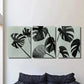 3pcs Black & White Botanical Monstera Leaf Wall Art Set Canvas Framed 40x60cm - High Quality Print 100% Australian Made Wall Canvas Ready to Hang