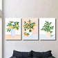 3pcs Plant Arrangement with Lemons & Oranges Wall Art Set Canvas Framed 40x60cm - High Quality Print 100% Australian Made Wall Canvas Ready to Hang