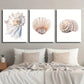 3pcs Polygonal Fan-Shaped Pattern Seashell Wall Art Set Canvas Framed 40x60cm - High Quality Print 100% Australian Made Wall Canvas Ready to Hang