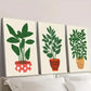 3pcs Leaves Growing in Pot Plant Wall Art Set Canvas Framed 40x60cm - High Quality Print 100% Australian Made Wall Canvas Ready to Hang