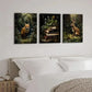3pcs Fox Rabbit Books Rustic Farmhouse Wall Art Set Canvas Framed 40x60cm - High Quality Print 100% Australian Made Wall Canvas Ready to Hang