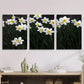 3pcs Elegant White Daffodil Flowers Metal Print Ready to Hang Art