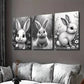 3pcs Adorable Bunny Black and White Rabbit Wall Art Set Canvas Framed 40x60cm - High Quality Print 100% Australian Made Wall Canvas Ready to Hang
