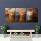 3pcs Whimsical Adorable Kitten in Water Wall Art Set Canvas Framed 40x60cm - High Quality Print 100% Australian Made Wall Canvas Ready to Hang