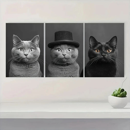 3pcs Nordic Style Black & White Animal Cats Metal Print Ready to Hang Art