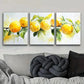 3pcs Lemons and Green Leaves Nature Yellow Wall Art Set Canvas Framed 40x60cm - High Quality Print 100% Australian Made Wall Canvas Ready to Hang