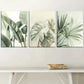 3pcs Minimalist Landscape Natural Plant Leaves Wall Art Set Canvas Framed 40x60cm - High Quality Print 100% Australian Made Wall Canvas Ready to Hang