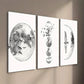 3pcs Black and White Moon Phase Wall Art Set Canvas Framed 40x60cm - High Quality Print 100% Australian Made Wall Canvas Ready to Hang