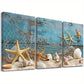 3pcs Modern Fishing Net Seashells Starfish Net Wall Art Set Canvas Framed 40x60cm - High Quality Print 100% Australian Made Wall Canvas Ready to Hang