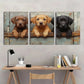 3pcs Vintage Farmhouse Puppies Peeking Over Fence Metal Print Ready to Hang Art
