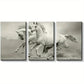 3pcs Galloping White Horses Artwork Metal Print Ready to Hang Art