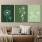 3pcs Dark & Light Green Dandelions Wall Art Set Canvas Framed 40x60cm - High Quality Print 100% Australian Made Wall Canvas Ready to Hang
