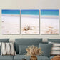 3pcs Beach Scene Ocean Crab & Seashells Wall Art Set Canvas Framed 40x60cm - High Quality Print 100% Australian Made Wall Canvas Ready to Hang