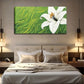 Blooming White Lily Grass Wall Art Canvas Office Home Room Framed 120x60cm