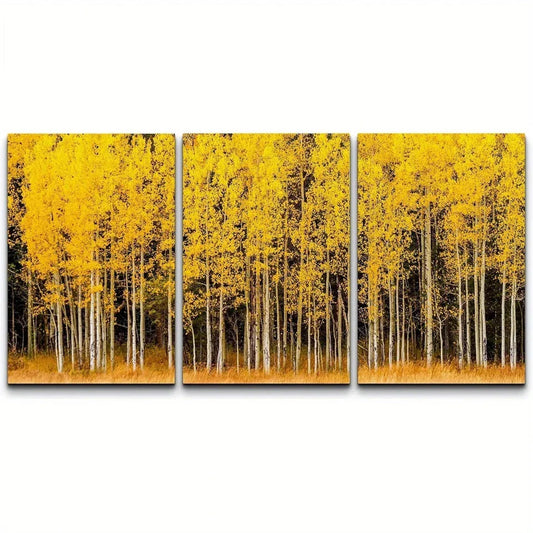 3pcs Yellow & White Autumn Aspen Tree Forest Metal Print Ready to Hang Art