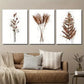 3pcs Brown Abstract Cotton Plant Print Wall Art Set Canvas Framed 40x60cm - High Quality Print 100% Australian Made Wall Canvas Ready to Hang