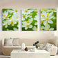 3pcs A Close-Up Of White Flowers Metal Print Ready to Hang Art