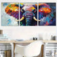 3pcs modern Colorful Elephant Wall Art Set Canvas Framed 40x60cm - High Quality Print 100% Australian Made Wall Canvas Ready to Hang