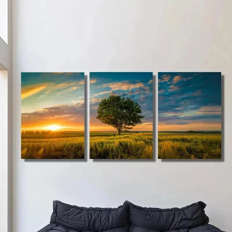 3pcs Trees in the Field & Sunset Landscape Wall Art Set Canvas Framed 40x60cm - High Quality Print 100% Australian Made Wall Canvas Ready to Hang