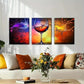 3pcs Wine Splash Wine Splash Vibrant Perfect Wall Art Set Canvas Framed 40x60cm - High Quality Print 100% Australian Made Wall Canvas Ready to Hang