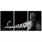 3pcs Animals Black and White Leopard Metal Print Ready to Hang Art
