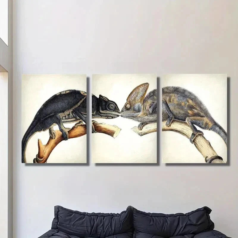 3pcs A Lizard And A Chameleon Wall Art Set Canvas Framed 40x60cm - High Quality Print 100% Australian Made Wall Canvas Ready to Hang