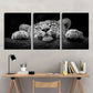 3pcs Leopard Black & White Elegant Animal Metal Print Ready to Hang Art