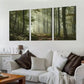 3pcs Classic Style Green Fall Forest Sun Rays Wall Art Set Canvas Framed 40x60cm - High Quality Print 100% Australian Made Wall Canvas Ready to Hang