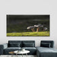 Edible Mushrooms Grass Forest Wall Art Canvas Office Home Room Framed 120x60cm