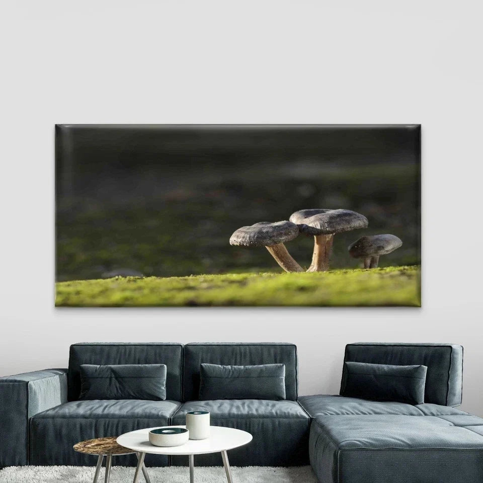 Edible Mushrooms Grass Forest Wall Art Canvas Office Home Room Framed 120x60cm