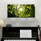 3pcs Vibrant Green Foliage with Golden Sunlight Wall Art Set Canvas Framed 40x60cm - High Quality Print 100% Australian Made Wall Canvas Ready to Hang