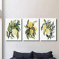 3pcs Botanical Fruit with Green Leaf Wall Art Set Canvas Framed 40x60cm - High Quality Print 100% Australian Made Wall Canvas Ready to Hang