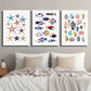 3pcs Starfish Shells And Tropical Fish Wall Art Set Canvas Framed 40x60cm - High Quality Print 100% Australian Made Wall Canvas Ready to Hang