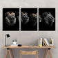 3pcs African Lion Black and White Metal Print Ready to Hang Art