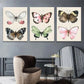 3pcs Abstract Butterfly Vintage Style Metal Print Ready to Hang Art
