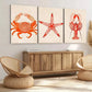 3pcs Red Shrimp Crab Star Fish Orange & Beige Wall Art Set Canvas Framed 40x60cm - High Quality Print 100% Australian Made Wall Canvas Ready to Hang