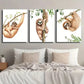 3pcs Wildlife Sloth Watercolor Decor Wall Art Set Canvas Framed 40x60cm - High Quality Print 100% Australian Made Wall Canvas Ready to Hang