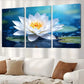 3pcs Abstract Classic Serene Beauty Aesthetic Wall Art Set Canvas Framed 40x60cm - High Quality Print 100% Australian Made Wall Canvas Ready to Hang