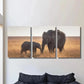 3pcs Elephant and Baby Elephant Wildlife Wall Art Set Canvas Framed 40x60cm - High Quality Print 100% Australian Made Wall Canvas Ready to Hang