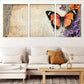 3pcs Rustic Floral Lace Vintage Butterfly Wall Art Set Canvas Framed 40x60cm - High Quality Print 100% Australian Made Wall Canvas Ready to Hang