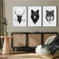 3pcs Wildlife Portrait Triptych Wall Art Set Canvas Framed 40x60cm - High Quality Print 100% Australian Made Wall Canvas Ready to Hang