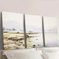 3pcs Coastal Sandy Shore and Wildflowers Wall Art Set Canvas Framed 40x60cm - High Quality Print 100% Australian Made Wall Canvas Ready to Hang
