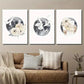 3pcs Moon and Bird Animal Floral Wall Art Set Canvas Framed 40x60cm - High Quality Print 100% Australian Made Wall Canvas Ready to Hang