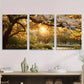 3pcs Magnolia Tree Sunlight Through Blossoms Metal Print Ready to Hang Art