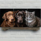 3pcs Two Dogs and One Cat Brown Black Gray Metal Print Ready to Hang Art