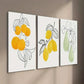 3pcs Line Drawing of Orange Lemon Pear Wall Art Set Canvas Framed 40x60cm - High Quality Print 100% Australian Made Wall Canvas Ready to Hang