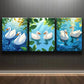 3pcs Swimming White Duck Nature Beauty Perfect Wall Art Set Canvas Framed 40x60cm - High Quality Print 100% Australian Made Wall Canvas Ready to Hang